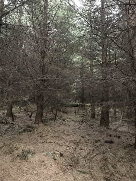 1539099850-2738469664_n