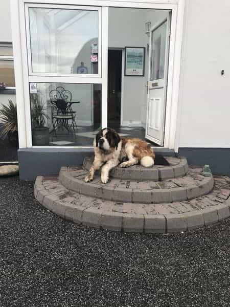 1539100546-2624198816_n